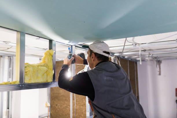 Professional Insulation Contractor in NV