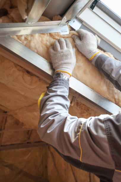 Best Insulation for Specific Applications in Alamo, NV