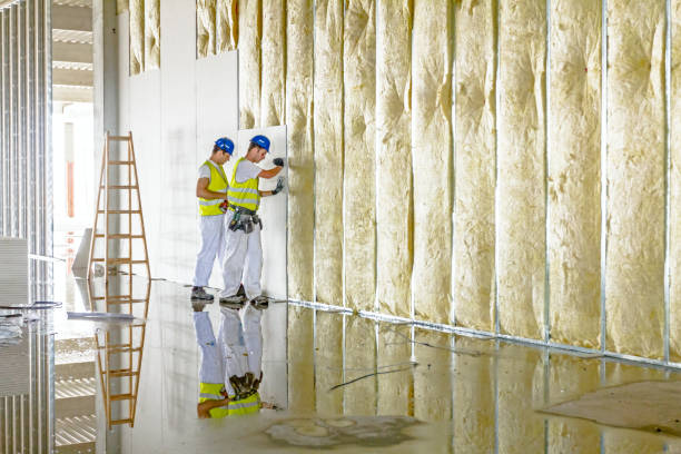 Best Commercial Insulation in Alamo, NV